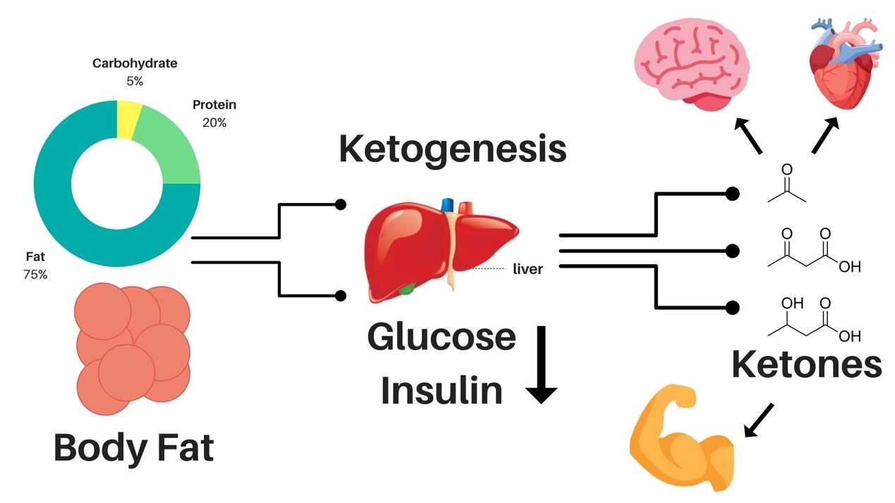 Delislim helps with weight loss and provides energy